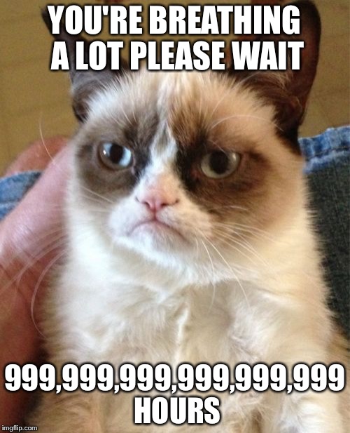 Grumpy Cat | YOU'RE BREATHING A LOT PLEASE WAIT; 999,999,999,999,999,999 HOURS | image tagged in memes,grumpy cat | made w/ Imgflip meme maker