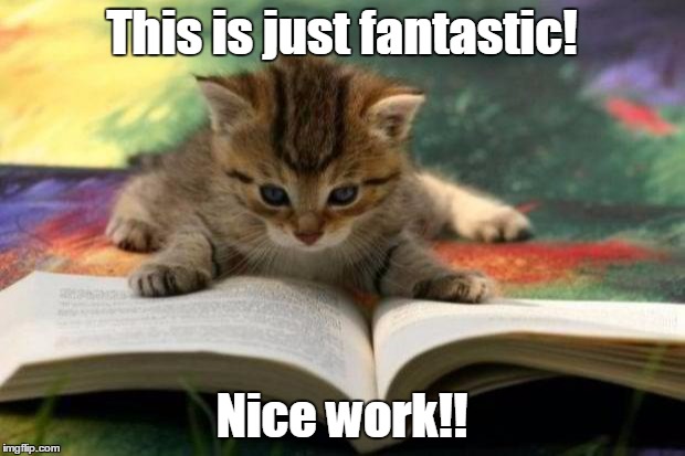 Kitten reading | This is just fantastic! Nice work!! | image tagged in kitten reading | made w/ Imgflip meme maker