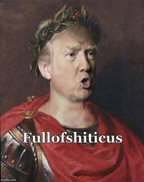 Fullofshiticus | image tagged in donald trump,liar in chief,full of shit,bullying,bullshit | made w/ Imgflip meme maker