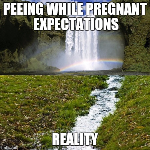 PEEING WHILE PREGNANT EXPECTATIONS; REALITY | made w/ Imgflip meme maker
