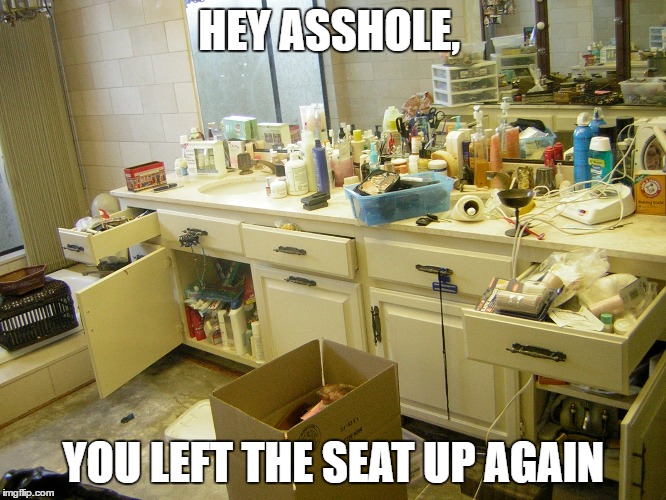 seat | HEY ASSHOLE, YOU LEFT THE SEAT UP AGAIN | image tagged in bathroom humor | made w/ Imgflip meme maker
