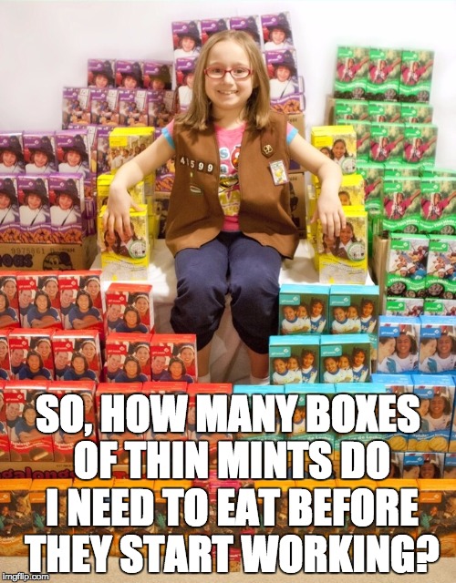 Girl Scout Cookies | SO, HOW MANY BOXES OF THIN MINTS DO I NEED TO EAT BEFORE THEY START WORKING? | image tagged in girl scout cookies | made w/ Imgflip meme maker