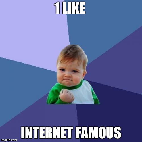 Success Kid | 1 LIKE; INTERNET FAMOUS | image tagged in memes,success kid | made w/ Imgflip meme maker