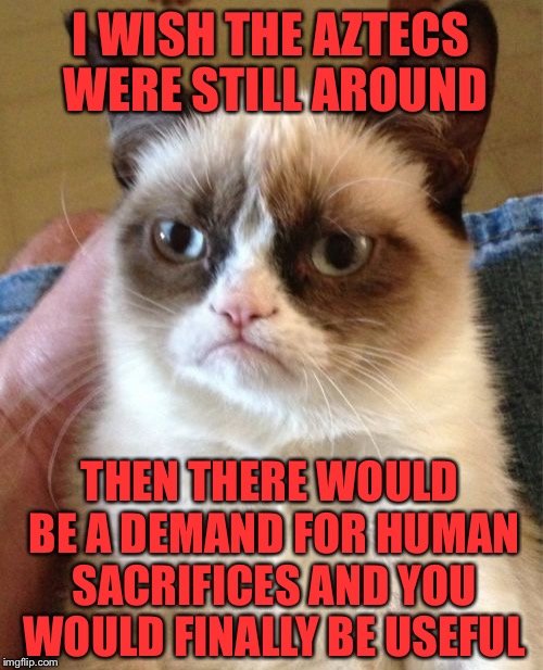Grumpy Cat | I WISH THE AZTECS WERE STILL AROUND; THEN THERE WOULD BE A DEMAND FOR HUMAN SACRIFICES AND YOU WOULD FINALLY BE USEFUL | image tagged in memes,grumpy cat | made w/ Imgflip meme maker