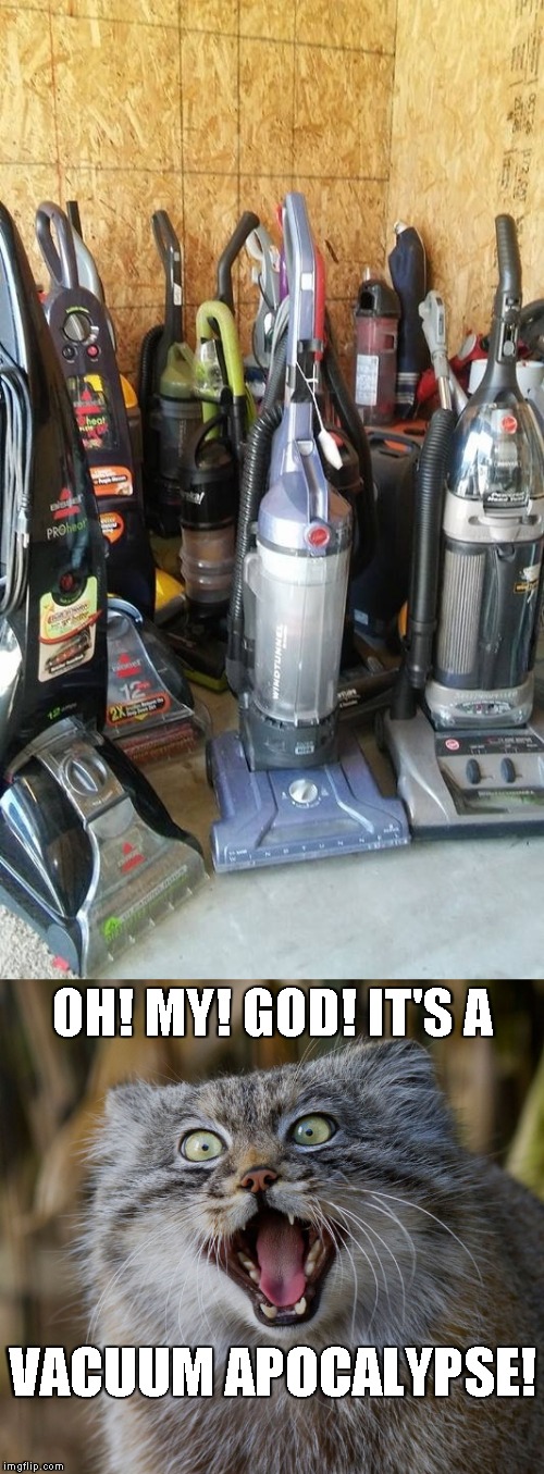 Every cat's worst nightmare... Some dogs, too! | OH! MY! GOD! IT'S A; VACUUM APOCALYPSE! | image tagged in memes,apocalypse,vacuum,zombie,cat | made w/ Imgflip meme maker
