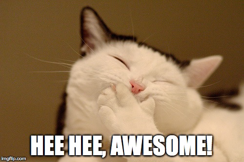 HEE HEE, AWESOME! | made w/ Imgflip meme maker