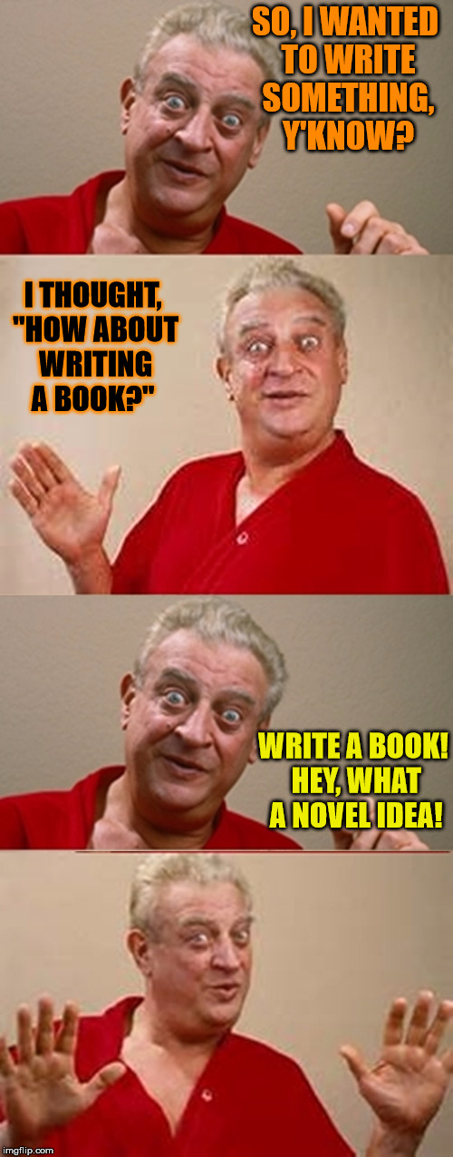 Bad Pun Rodney Dangerfield | SO, I WANTED TO WRITE SOMETHING, Y'KNOW? I THOUGHT, "HOW ABOUT WRITING A BOOK?"; WRITE A BOOK! HEY, WHAT A NOVEL IDEA! | image tagged in bad pun rodney dangerfield | made w/ Imgflip meme maker
