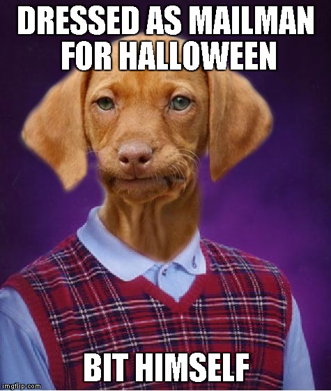 Bad Luck Raydog | DRESSED AS MAILMAN FOR HALLOWEEN; BIT HIMSELF | image tagged in bad luck raydog | made w/ Imgflip meme maker