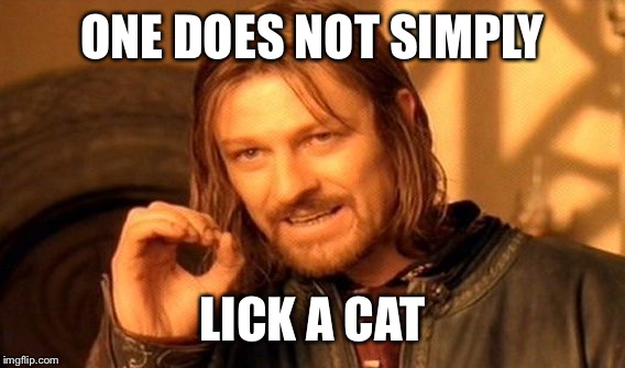 One Does Not Simply Meme | ONE DOES NOT SIMPLY LICK A CAT | image tagged in memes,one does not simply | made w/ Imgflip meme maker