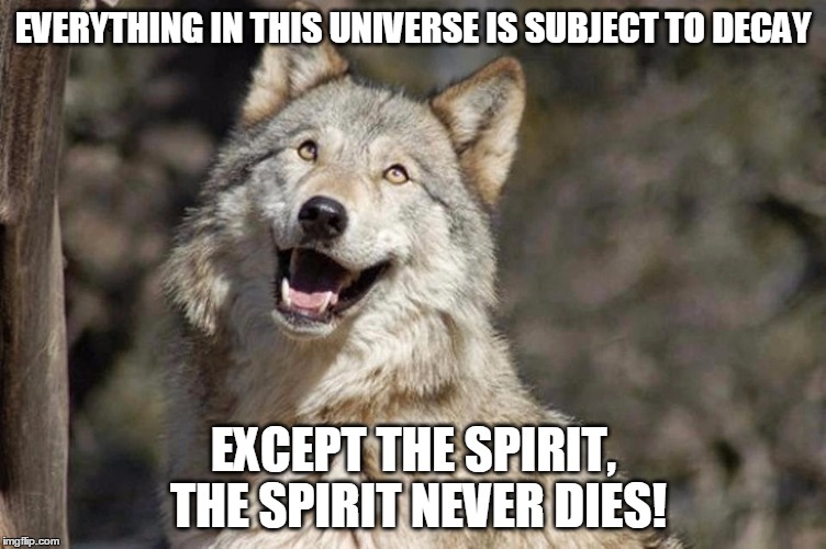 Optimistic Moon Moon Wolf Vanadium Wolf | EVERYTHING IN THIS UNIVERSE IS SUBJECT TO DECAY; EXCEPT THE SPIRIT, THE SPIRIT NEVER DIES! | image tagged in optimistic moon moon wolf vanadium wolf | made w/ Imgflip meme maker