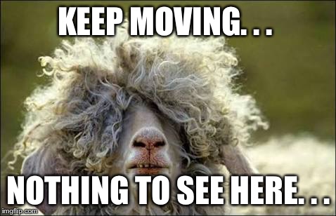 bad hair | KEEP MOVING. . . NOTHING TO SEE HERE. . . | image tagged in bad hair | made w/ Imgflip meme maker