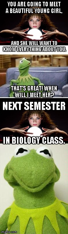 Poor Kermit... | YOU ARE GOING TO MEET A BEAUTIFUL YOUNG GIRL, AND SHE WILL WANT TO KNOW EVERYTHING ABOUT YOU. THAT'S GREAT! WHEN WILL I MEET HER? NEXT SEMESTER; IN BIOLOGY CLASS. | image tagged in memes,psychic with crystal ball,kermit,bad luck | made w/ Imgflip meme maker