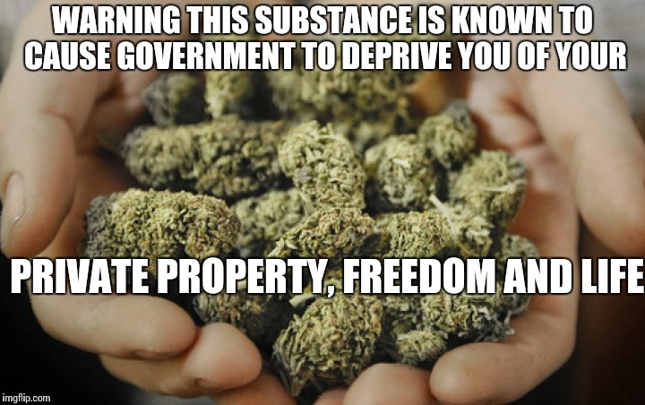 Good-good hands (Marijuana) | WARNING THIS SUBSTANCE IS KNOWN TO CAUSE GOVERNMENT TO DEPRIVE YOU OF YOUR; PRIVATE PROPERTY, FREEDOM AND LIFE | image tagged in good-good hands marijuana | made w/ Imgflip meme maker