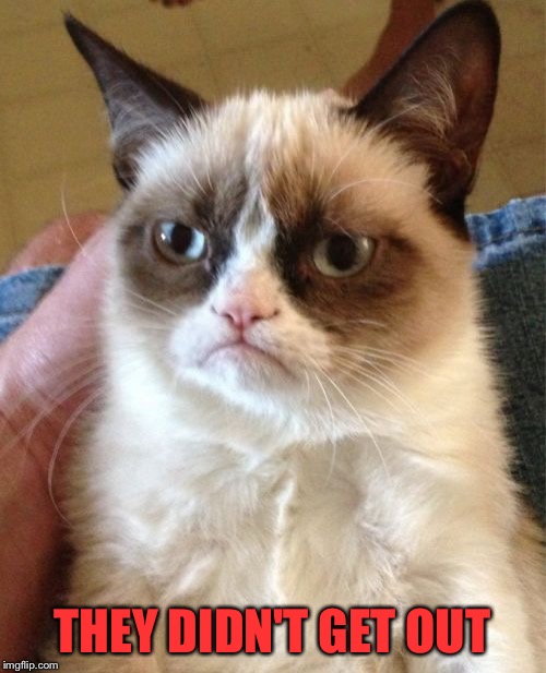 Grumpy Cat Meme | THEY DIDN'T GET OUT | image tagged in memes,grumpy cat | made w/ Imgflip meme maker