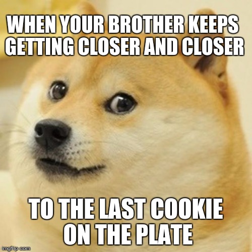 Doge Meme | WHEN YOUR BROTHER KEEPS GETTING CLOSER AND CLOSER; TO THE LAST COOKIE ON THE PLATE | image tagged in memes,doge | made w/ Imgflip meme maker
