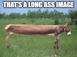 THAT'S A LONG ASS IMAGE | made w/ Imgflip meme maker