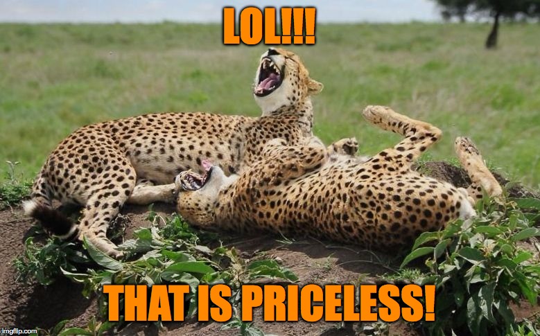 LOL!!! THAT IS PRICELESS! | made w/ Imgflip meme maker