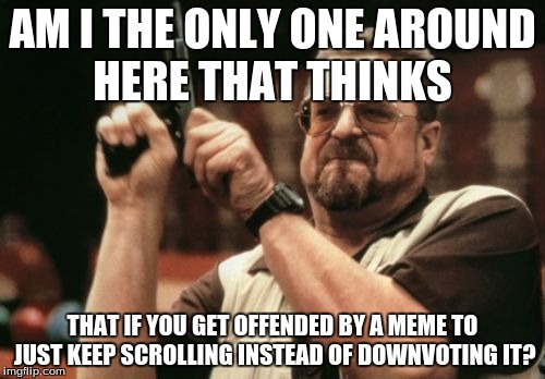 to all of you trolls. please stop | AM I THE ONLY ONE AROUND HERE THAT THINKS; THAT IF YOU GET OFFENDED BY A MEME TO JUST KEEP SCROLLING INSTEAD OF DOWNVOTING IT? | image tagged in memes,am i the only one around here,downvoting | made w/ Imgflip meme maker