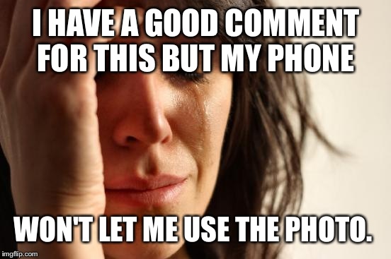 First World Problems Meme | I HAVE A GOOD COMMENT FOR THIS BUT MY PHONE WON'T LET ME USE THE PHOTO. | image tagged in memes,first world problems | made w/ Imgflip meme maker