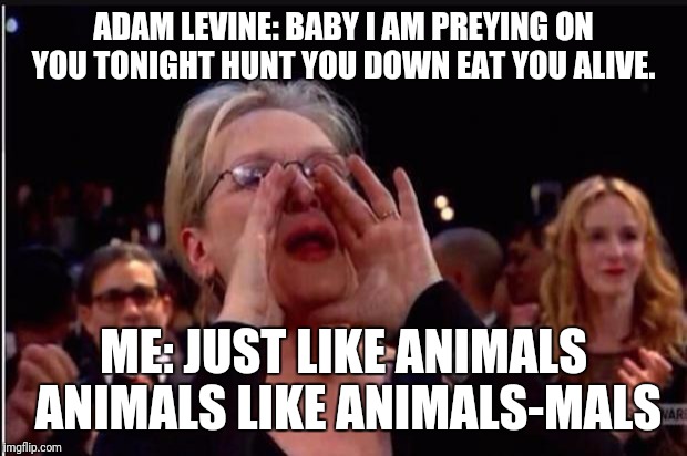 meryl streep | ADAM LEVINE: BABY I AM PREYING ON YOU TONIGHT HUNT YOU DOWN EAT YOU ALIVE. ME: JUST LIKE ANIMALS ANIMALS LIKE ANIMALS-MALS | image tagged in meryl streep | made w/ Imgflip meme maker