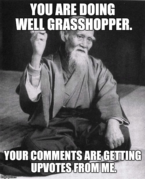YOU ARE DOING WELL GRASSHOPPER. YOUR COMMENTS ARE GETTING UPVOTES FROM ME. | made w/ Imgflip meme maker