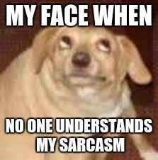 MY FACE WHEN; NO ONE UNDERSTANDS MY SARCASM | image tagged in akward | made w/ Imgflip meme maker