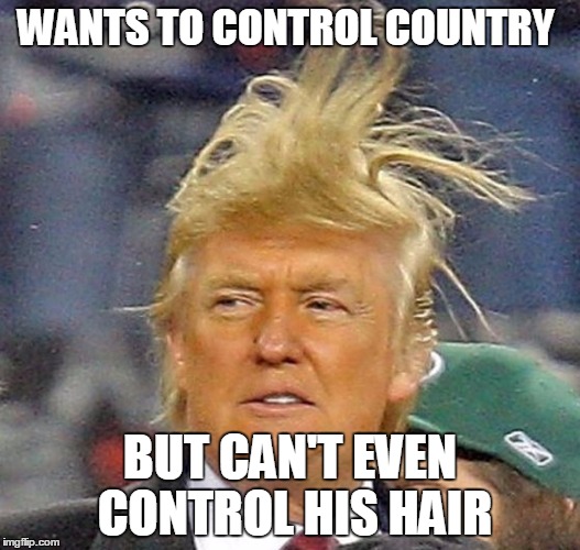 Donald Trump Hair | WANTS TO CONTROL COUNTRY; BUT CAN'T EVEN CONTROL HIS HAIR | image tagged in donald trump hair | made w/ Imgflip meme maker