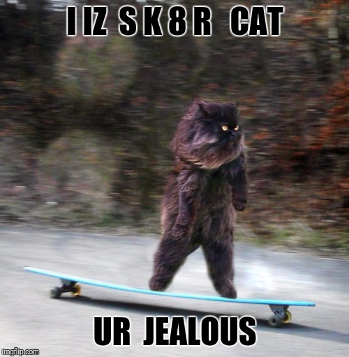 I IZ  S K 8 R   CAT UR  JEALOUS | made w/ Imgflip meme maker