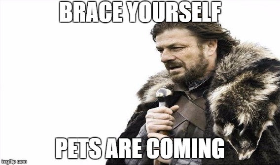 BRACE YOURSELF; PETS ARE COMING | image tagged in sims,sims 4,pets,expansion | made w/ Imgflip meme maker
