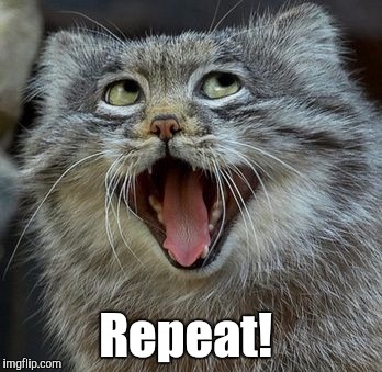 Cat | Repeat! | image tagged in cat | made w/ Imgflip meme maker