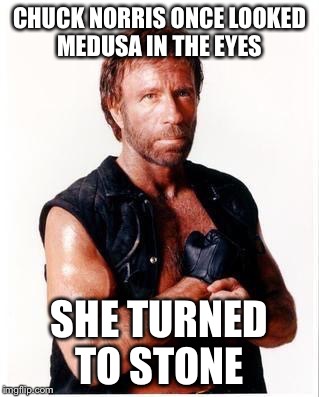 Chuck Norris Flex | CHUCK NORRIS ONCE LOOKED MEDUSA IN THE EYES; SHE TURNED TO STONE | image tagged in memes,chuck norris flex,chuck norris,medusa,stone | made w/ Imgflip meme maker
