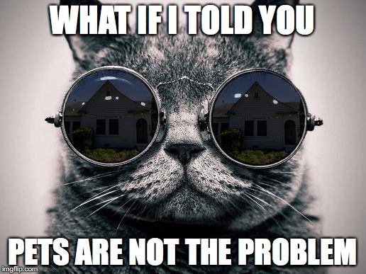 WHAT IF I TOLD YOU; PETS ARE NOT THE PROBLEM | image tagged in pet-friendly house cat | made w/ Imgflip meme maker