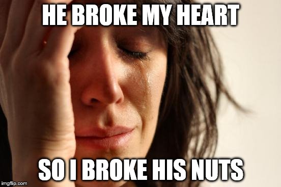 First World Problems | HE BROKE MY HEART; SO I BROKE HIS NUTS | image tagged in memes,first world problems | made w/ Imgflip meme maker