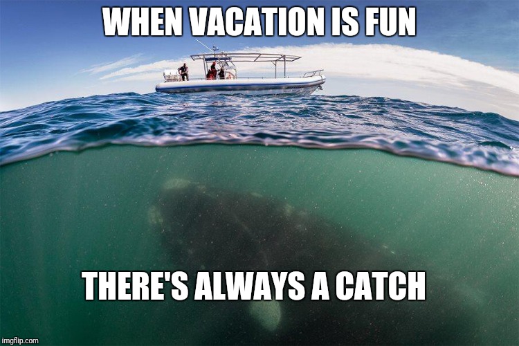 R&R reality... | WHEN VACATION IS FUN; THERE'S ALWAYS A CATCH | image tagged in fishing for whales,memes,funny,vacation | made w/ Imgflip meme maker