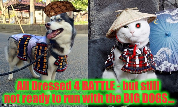 All Dressed 4 BATTLE - but still not ready to run with the BIG DOGS... . | made w/ Imgflip meme maker