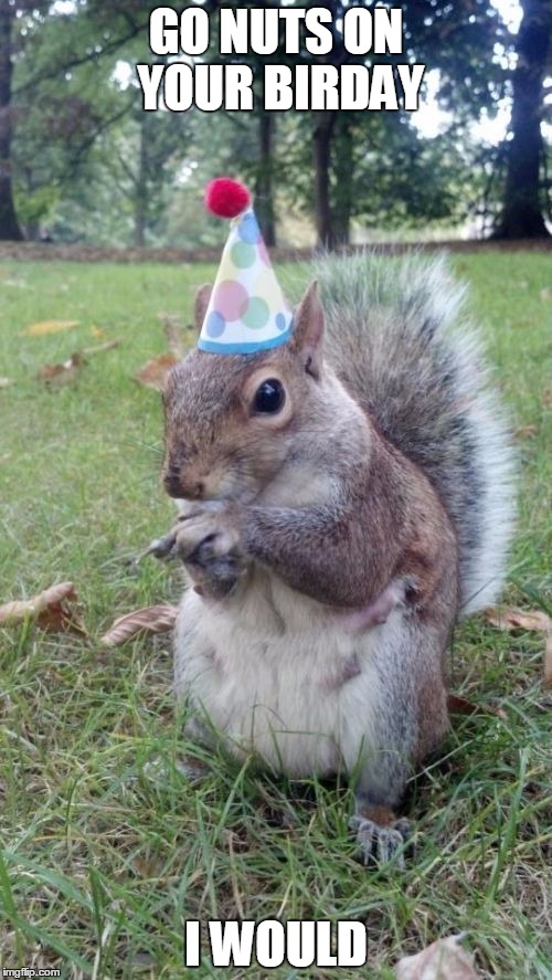 Super Birthday Squirrel Meme | GO NUTS ON YOUR BIRDAY; I WOULD | image tagged in memes,super birthday squirrel | made w/ Imgflip meme maker