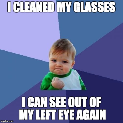 Sight | I CLEANED MY GLASSES; I CAN SEE OUT OF MY LEFT EYE AGAIN | image tagged in memes,success kid | made w/ Imgflip meme maker
