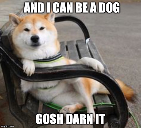 AND I CAN BE A DOG GOSH DARN IT | image tagged in cool shiba inu | made w/ Imgflip meme maker