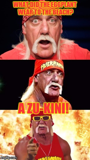 Nonsensical Hulkster | WHAT DID THE EGGPLANT WEAR TO THE BEACH? A ZU-KINI! | image tagged in nonsensical hulkster | made w/ Imgflip meme maker