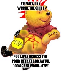 YO MATE, I BE WINNIE THE SHIT ! POO LIVES ACROSS THE POND IN THAT GOD AWFUL 100 ACRES WOOD...OYE ! | made w/ Imgflip meme maker
