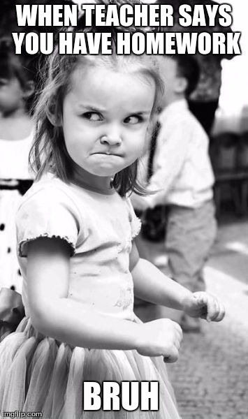 Angry Toddler Meme | WHEN TEACHER SAYS YOU HAVE HOMEWORK; BRUH | image tagged in memes,angry toddler | made w/ Imgflip meme maker