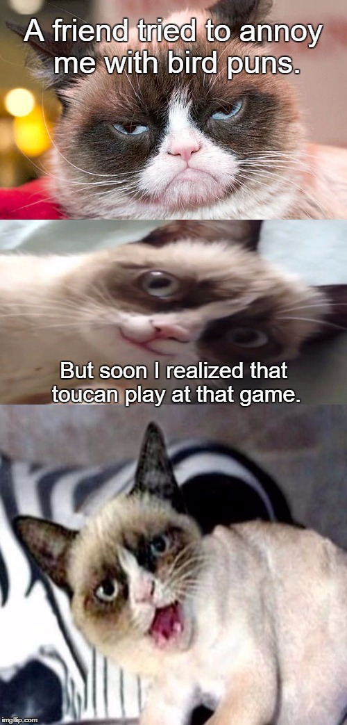 Bad Pun Grumpy Cat | A friend tried to annoy me with bird puns. But soon I realized that toucan play at that game. | image tagged in bad pun grumpy cat | made w/ Imgflip meme maker