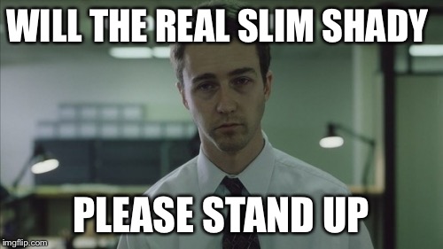 Copy of a copy  | WILL THE REAL SLIM SHADY PLEASE STAND UP | image tagged in copy of a copy | made w/ Imgflip meme maker