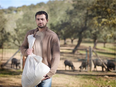 Hauling Oats Blank Meme Template