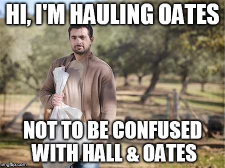 Hauling Oates | HI, I'M HAULING OATES; NOT TO BE CONFUSED WITH HALL & OATES | image tagged in hauling oats,hall and oates,80s music | made w/ Imgflip meme maker