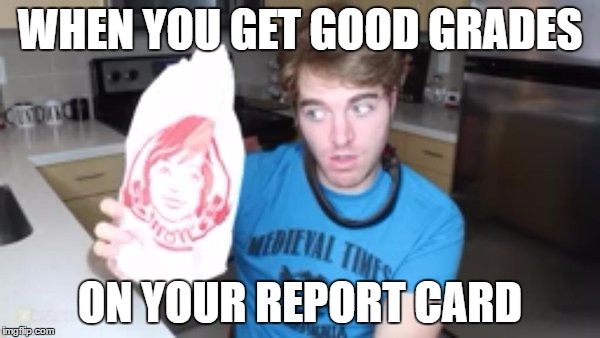 WHEN YOU GET GOOD GRADES; ON YOUR REPORT CARD | image tagged in surprised shane | made w/ Imgflip meme maker