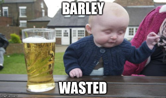 BARLEY WASTED | made w/ Imgflip meme maker