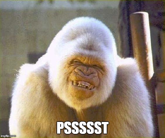 pssst | PSSSSST | image tagged in gorilla | made w/ Imgflip meme maker