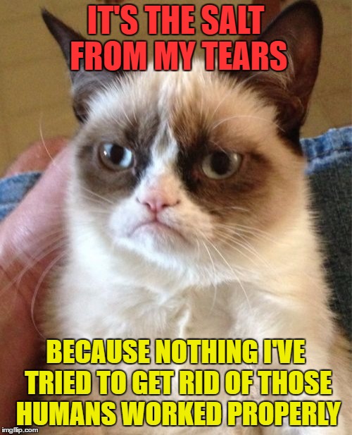 Grumpy Cat Meme | IT'S THE SALT FROM MY TEARS BECAUSE NOTHING I'VE TRIED TO GET RID OF THOSE HUMANS WORKED PROPERLY | image tagged in memes,grumpy cat | made w/ Imgflip meme maker