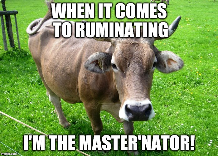 made this a few weeks ago as a response to a comment, thought it would be funny to submit | WHEN IT COMES TO RUMINATING I'M THE MASTER'NATOR! | image tagged in cow,puns | made w/ Imgflip meme maker